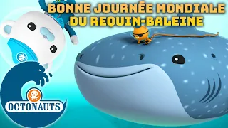 Octonauts - 🐋 Bonne journée mondiale du requin-baleine 🦈 | Dessins animés pour enfants