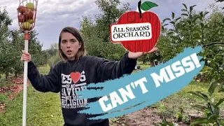 picking apples/сбор яблок/All Seasons Orchard/выходные в Чикаго/weekend in Chicago