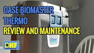 Oase Biomaster Thermo review and maintenance