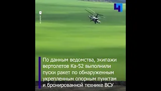 Минобороны показало новые кадры боевой работы вертолетов Ка-52 в зоне СВО