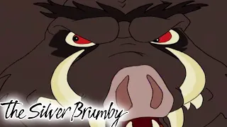 The Silver Brumby | Golden goes home! 🐎| HD FULL EPISODES