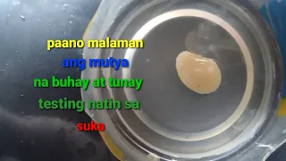 paano malaman ang mutya na buhay at tunay testing natin sa suka