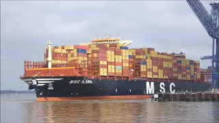 Maiden voyage MSC Ilaria departs Felixstowe 9 with assistance of 3 Svitzer tugs.   8th May 2024