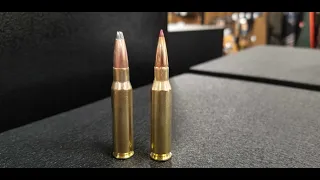 308 Winchester vs 7mm-08 Remington