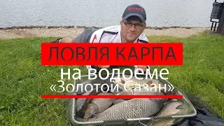 Захватывающая ловля карпа