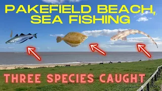 Pakefield Beach Sea Fishing, Sea Fishing UK, Beach Fishing UK, Three Species Caught