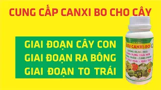 PHÂN BÓN CANXI BO NÊN SỬ DỤNG TRONG CÁC GIAI ĐOẠN CẦN THIẾT CHO CÂY