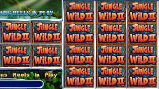 JUNGLE WILD 2 WON 29,000 DOLLARS Playing Classic Slot Machines