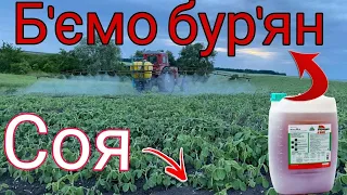 ✅🇺🇦Все про все а сою кропити треба Як ми Обприскуємо сою Як мішаєм гербіцид Раундап макс