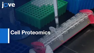 Chromatin Proteins Hybridization Capture for Cell Proteomics | Protocol Preview