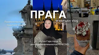 выходные студента ERASMUS+ | Prague vlog