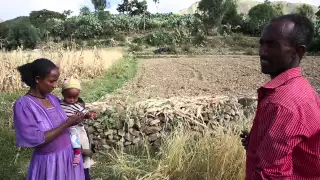 Rural Roads in Ethiopia