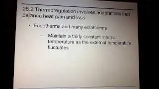 AP Chapter 25 Homeostasis: thermoregulation  part 1/3