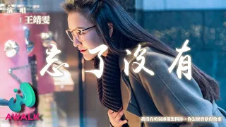 wang jing wen bu pang - wang le mei you【Pinyin Lyrics】