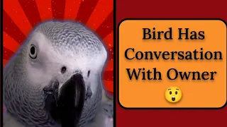 Bird Has Conversation With Owner😲 #animals #pet #bird #funnyanimals #youtube #fun #fyp #funny #cute