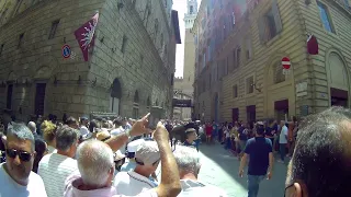 Tratta Palio di Siena 29 giugno 2022 cavallo Pantera