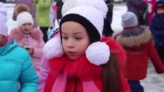 В Новом Осколе  торжественно открыли главную новогоднюю елку района