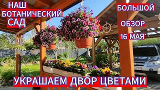 УКРАШАЕМ ТЕРРАСУ И ДВОР ЦВЕТАМИ . ПОСАДИЛИ КРАСНЫЕ ГОРТЕНЗИИ . РАБОТАЕМ В ТЕПЛИЦЕ