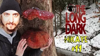 NERDE BU MANTARLAR? | The Long Dark Hikaye #11 [TÜRKÇE]