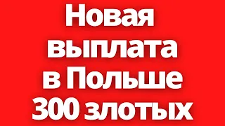 300 ЗЛОТЫХ УКРАИНСКИМ БЕЖЕНЦАМ В ПОЛЬШЕ! Жизнь в Польше