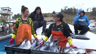 Caleta Duao, Licanten. Somos Caleta, Canal 13.