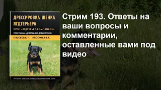 Стрим 193  Вопросы и ответы