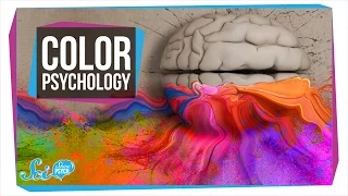 Does Color Really Affect How You Act?