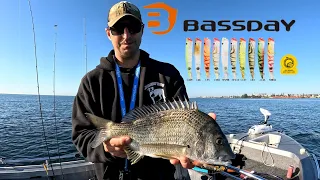 Bassday Suga Splash is it The new topwater king ? (Review)