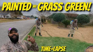 I have Greener Grass with Turf Paint Lawn Paint! [ODDLY SATISFYING]