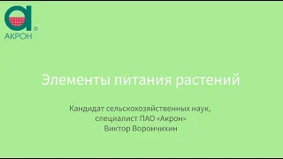 Элементы питания растений