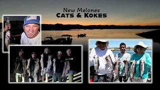 New Melones Cats & Kokes