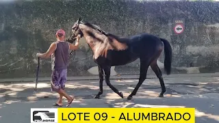 LOTE 09 - ALUMBRADO