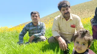 Going To the Mountain and Picking Herbs: IRANIAN Nomads