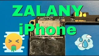 Zalany telefon - iPhone 7 Plus czy uda się naprawić?