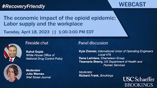 The economic impact of the opioid epidemic: Labor supply and the workplace