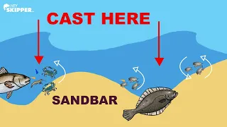 Surf fishing 101: HOW TO CATCH FISH by Reading Waves!