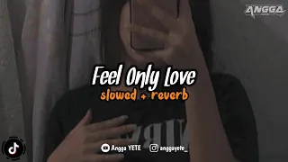 DJ Feel Only Love (Slowed & Reverb) 🎧