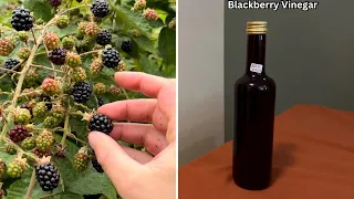 Blackberry Vinegar Recipe