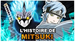 Histoire de Mitsuki (Boruto)