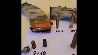 5.45 і 7.62 Господині на замітку