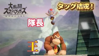 [Super Smash Bros Ultimate] Donkey Kong and Toad vs. Peach and Pauline