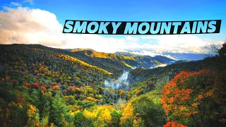 Smoky Mountains National Park Travel Guide