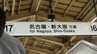 東京駅/東海道新幹線構内へ向かう（2023 04 05）