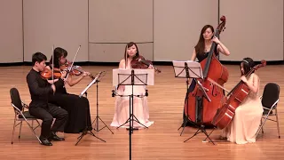 Dvorak String Quintet Op.77 I. Allegro con fuoco