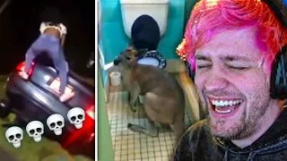 Sodapoppin Reacts to the Most UNUSUAL MEME COMPILATION