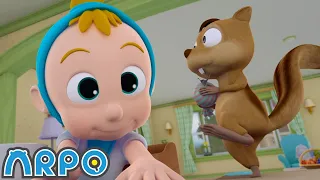 Squirrel Madness | ARPO The Robot Classics | Full Episode | Baby Compilation | Funny Kids Cartoons