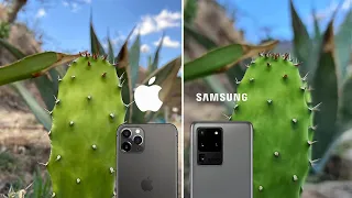 iPhone 11 Pro Max vs Galaxy S20 Ultra | Comparativa de cámaras