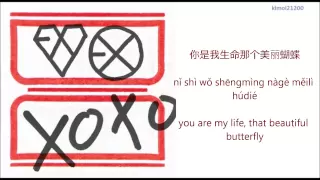 EXO-M - 蝴蝶少女 (Don't go) [Chinese/PinYin/English] Color Coded HD