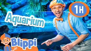 Blippi Visits the Aquarium and Learns about Fish | Educational Videos for Kids