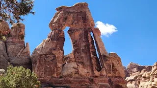 Canyonlands Natl Park - Needles District - Druid Arch Hike